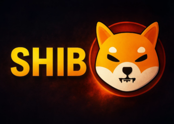 Shiba Inu Shows Signs of Potential Rally as Bulls Build Position