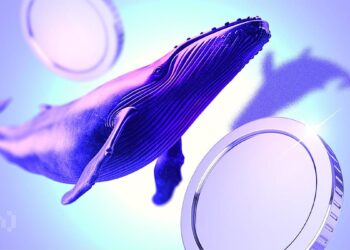 What Are Crypto Whales Positioning For Amid the Rebound?