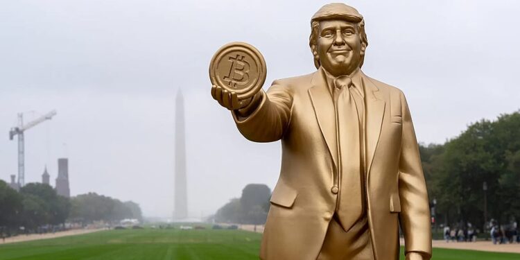 Crypto darling no more? Bitcoin drops from its high as market panics