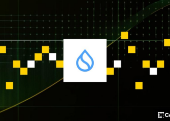 Sui Launches Native USDsui Through Stripe’s Bridge