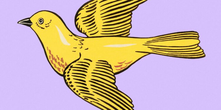 XRP set for another US-based ETF with Canary Capital’s rollout likely on Thursday