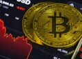 2 Reasons the Bitcoin Meltdown Might Be Different From Prior Crashes