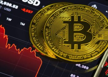 2 Reasons the Bitcoin Meltdown Might Be Different From Prior Crashes