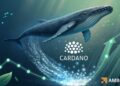 Cardano: What rising whale outflows mean for ADA’s next leg up