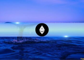 Ethereum’s Biggest Whales Just Hit a Record High