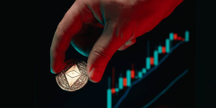 7 Big Coins of 2025: The Best Presale Crypto 2025 to Join Now With 100x Potential