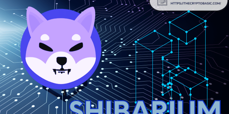 Shiba Inu Announces Major Privacy Upgrade for Shibarium