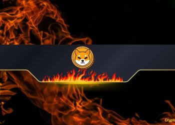 Shiba Inu (SHIB) Burn Rate Explodes by Over 2,000,000%: What’s Happening?
