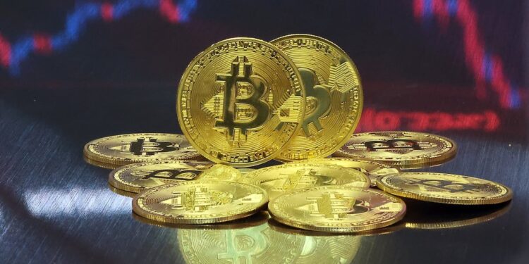 Crypto Whales View Downturn as Buying Opportunity