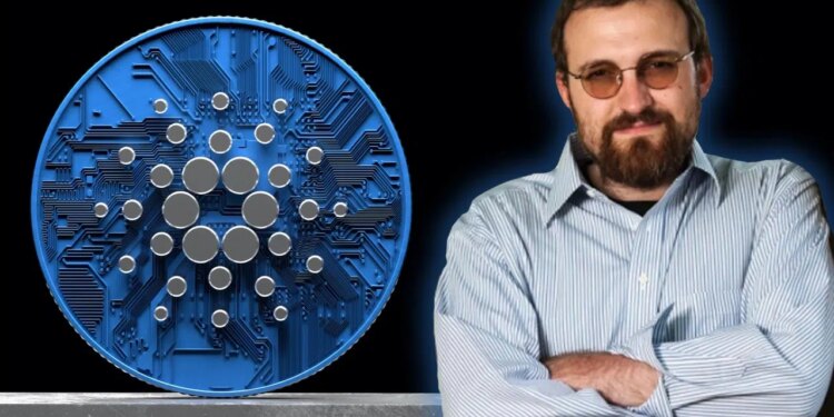 A Tragicomic Hack Incident Occurred on Cardano (ADA) – Founder Made a Statement