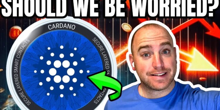 Top Crypto Presales to Watch as ADA Alternatives