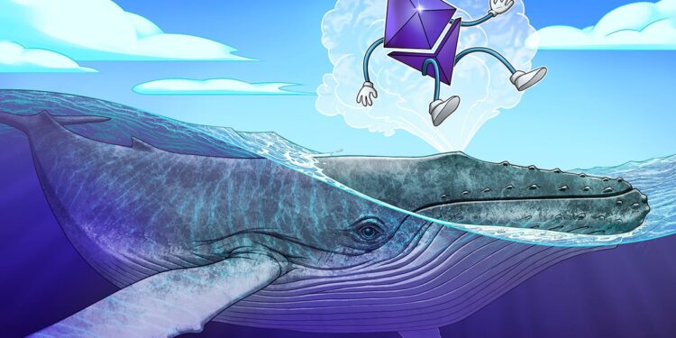 Ethereum Whales Open 136K ETH Long Bets Amid 28% Price Rise Potential