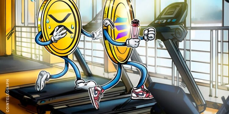 Ripple Exec Says XRP Needs a Solana-Style Playbook to Keep Up