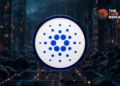 Is Midnight’s Privacy Coin Angle Cardano Strategy To Stay Relevant?