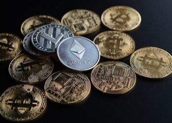 $1.5 Million In DOGE, Pepe, Solana Seized From Chinese National In Florida