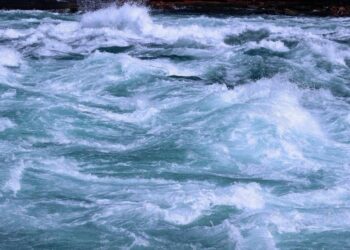 BTC gives up early Monday gains, falling back below $88,000