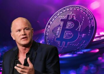 Hype Fans or Real Utility?