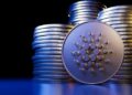 141,000 Transactions: Here’s Why The Cardano Network Is Roaring Back To Life