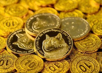 Top Dogecoin Wallets Begin Rapid Accumulation As Price Struggles, Is A Surge Coming?