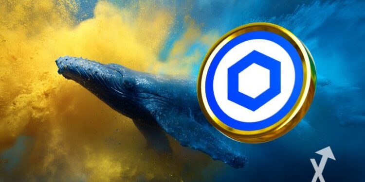 Will whales spark a bull run?