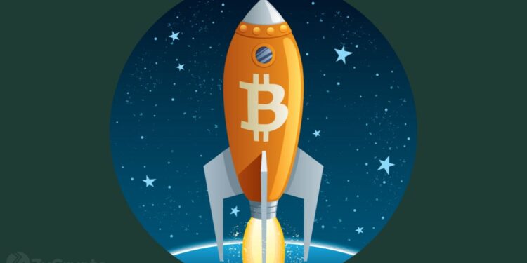 CMC Research Head Eyes Q1 2026 for Bitcoin, Ether, XRP, Cardano, Solana Bull Market Kickoff ⋆ ZyCrypto