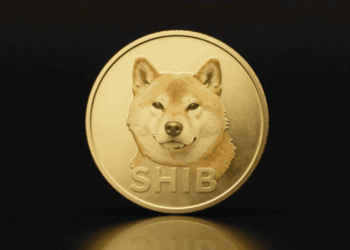 Can SHIB Survive the Inflation Heat?