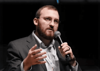 Bitcoin Could Reach $250,000 In 2026 As Institutional Demand Persists, Hoskinson Says