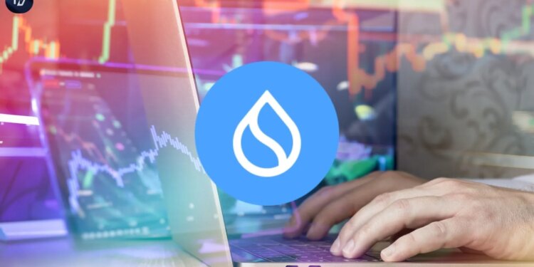 SUI Shows Strength Defending Trendline Indicating Potential Upside For Investors