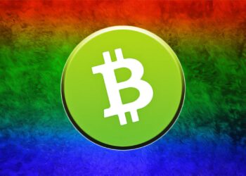 How a Cryptocurrency Payment Gateway Helps Businesses Accept Bitcoin Cash Easily