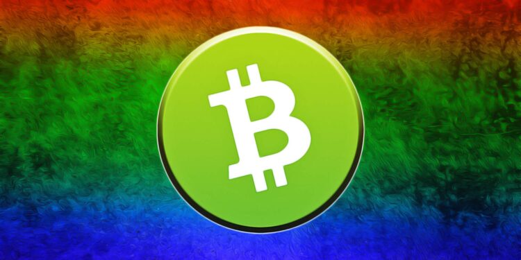 How a Cryptocurrency Payment Gateway Helps Businesses Accept Bitcoin Cash Easily