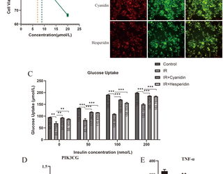 Dietary flavonoids may improve insulin resistance: NHANES, network pharmacological analyses and in vitro experiments