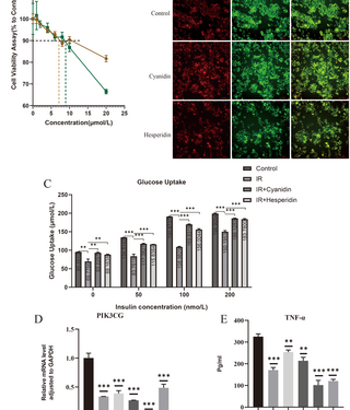 Dietary flavonoids may improve insulin resistance: NHANES, network pharmacological analyses and in vitro experiments