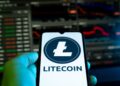 LitVM to Open Testnet in Q1 2026 as Litecoin Transaction Volume Surges
