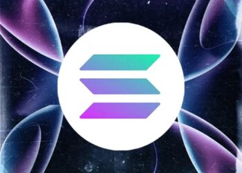 Solana News: SOL Price At 6-Month Low As Whales Stack Up