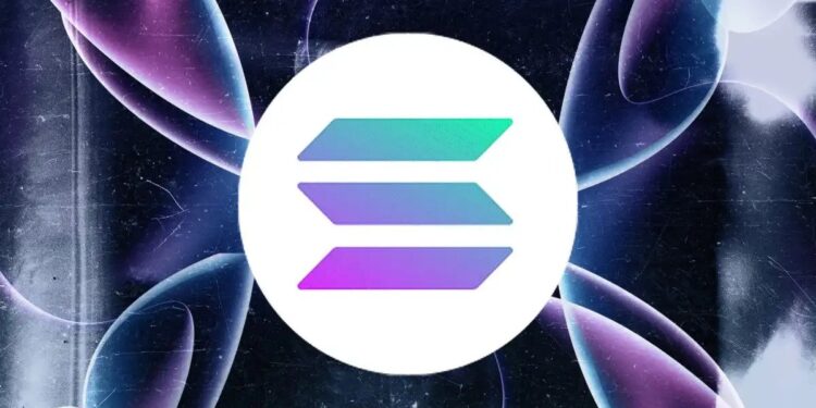 Solana News: SOL Price At 6-Month Low As Whales Stack Up