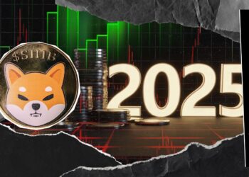 Shiba Inu (SHIB) Already Back in 2025