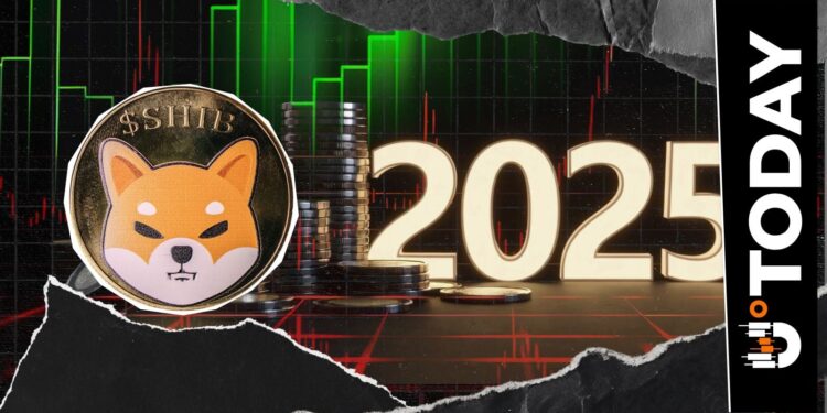 Shiba Inu (SHIB) Already Back in 2025