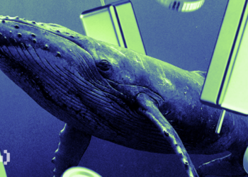 3 Altcoins Crypto Whales are Buying For February 2026