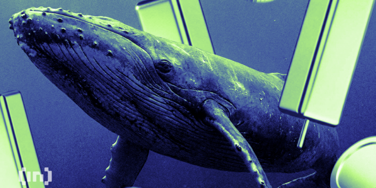 3 Altcoins Crypto Whales are Buying For February 2026