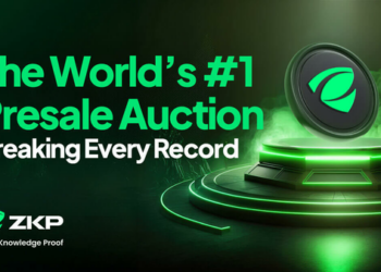 Which Crypto Should You Buy Now?