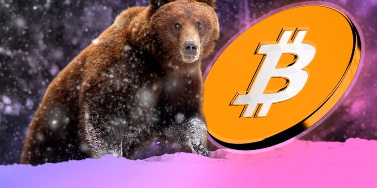 Bitcoin just had its least volatile year ever — here’s what 2026 will bring – DL News