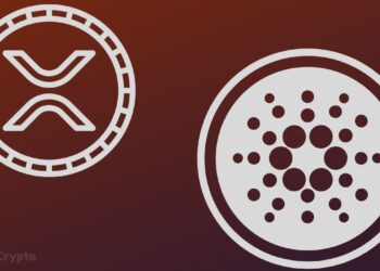 Novogratz Warns XRP And Cardano To Prove Real-World Utility Or Risk Extinction ⋆ ZyCrypto