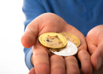 Another Dogecoin ETF Has Gone Live For Trading, How Did It Perform?