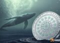 Cardano under pressure as whales buy 210 mln: Breakout or fake out, what’s ahead?
