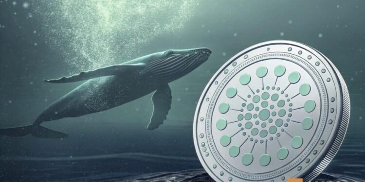 Cardano under pressure as whales buy 210 mln: Breakout or fake out, what’s ahead?