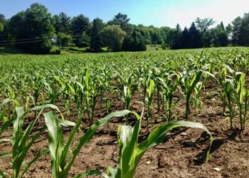 CME Group To Expand Crypto Derivatives Offering With Launch Of Cardano, Chainlink, Stellar Futures