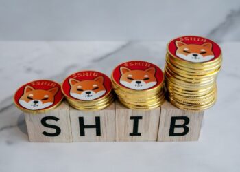 Shiba Inu Burn Rate Spikes 2,459% In A Day As Dormant Whale Reappears – What’s Next?