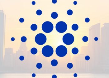 Building Foundations Amid Market Uncertainty