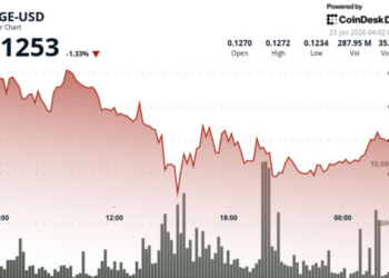 Dogecoin falls 2% as liquidation pressure hits meme coins – CoinDesk