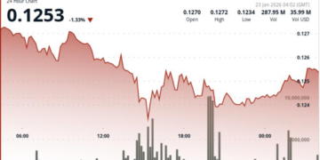 Dogecoin falls 2% as liquidation pressure hits meme coins – CoinDesk